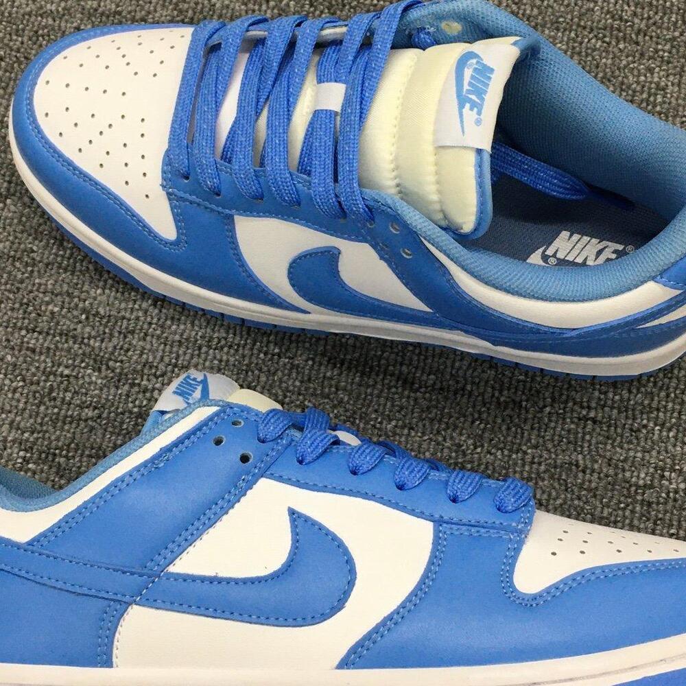 Nike Dunk Low Polar Blue Shoes